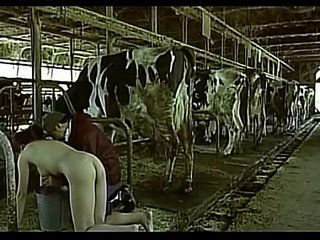 Asian woman pretending to be a cow milked him as a man boobs